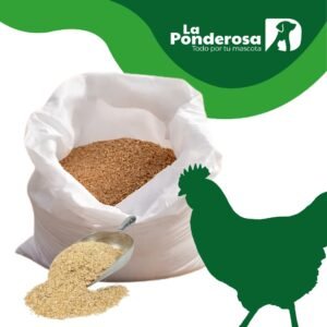 Imagen del producto