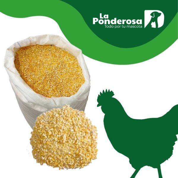 Maiz Chancado 20kg
