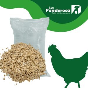 Imagen del producto
