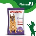 Imagen anterior del producto