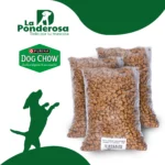 Imagen anterior del producto