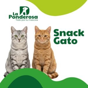 Snack Gato