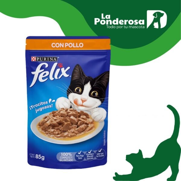 Felix Pollo en Salsa 85gr