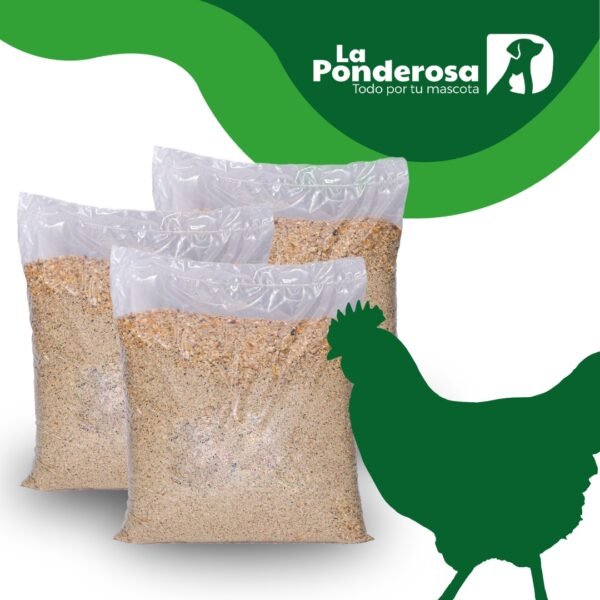 Ponedora 1kg