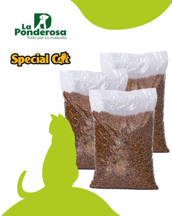 Especial Cat bebé  1kg